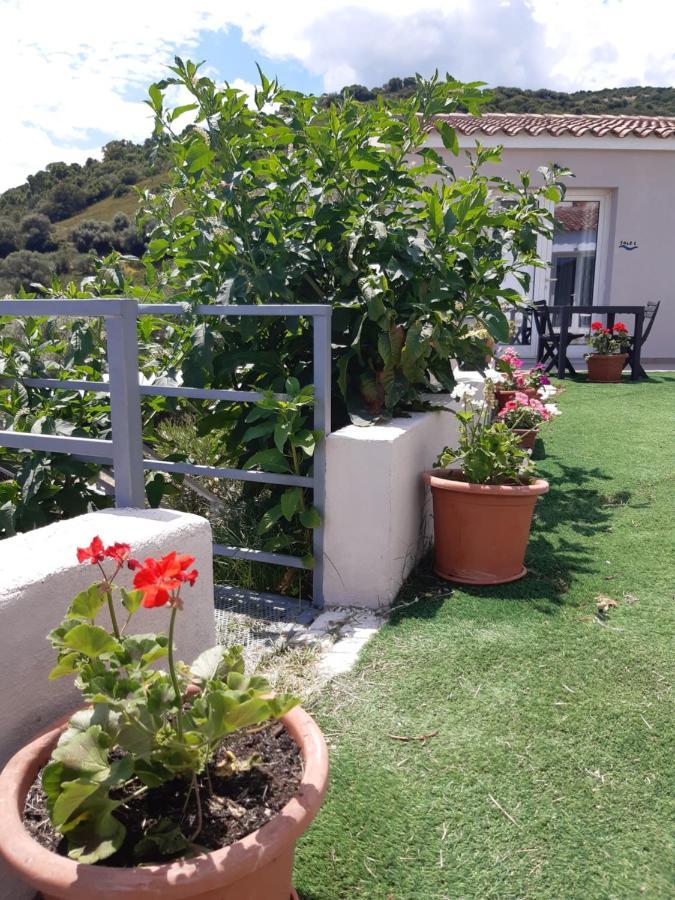 Sole&Sale Bed & Breakfast San Teodoro  Eksteriør bilde