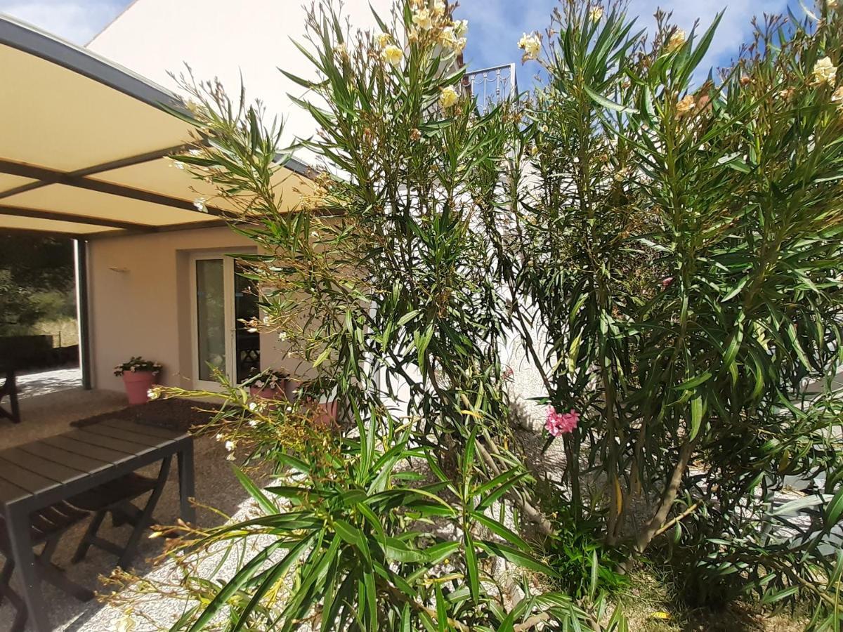 Sole&Sale Bed & Breakfast San Teodoro  Eksteriør bilde