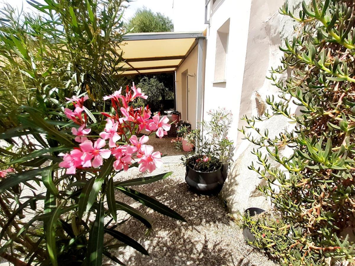 Sole&Sale Bed & Breakfast San Teodoro  Eksteriør bilde