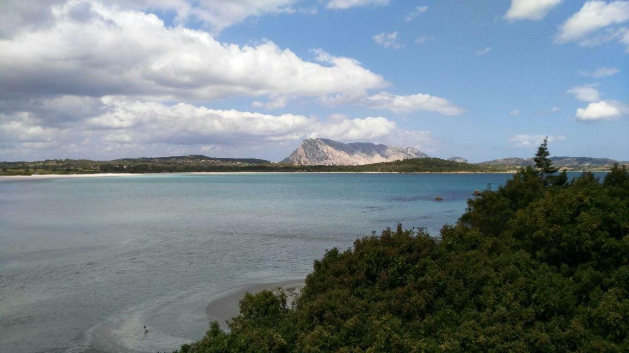 Sole&Sale Bed & Breakfast San Teodoro  Eksteriør bilde